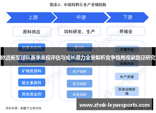 欧战新军球队赛季表现评估与成长潜力全景解析竞争格局观察路径研究
