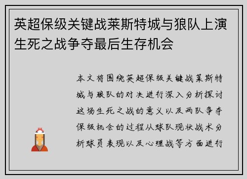 英超保级关键战莱斯特城与狼队上演生死之战争夺最后生存机会 英超保级关键战莱斯特城与狼队上演生死之战争夺最后生存机会